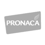 imageonline-co-whitebackgroundremoved (6)